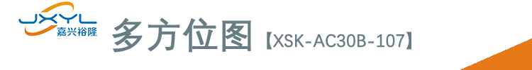 鷺宮壓力傳感器XSK-AC30B-107